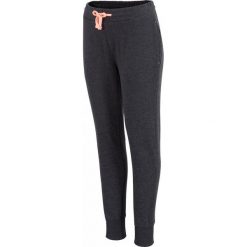 Bryczesy damskie: 4f Spodnie damskie Spdd004 szare r. L (4FF/032#L)