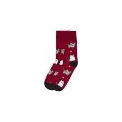 Skarpetki Bobby Sox - Mruczki BS10. Skarpetki męskie Bobby Sox - skarpetki, bez wzorów, z elastanu. Za 18,00 zł.
