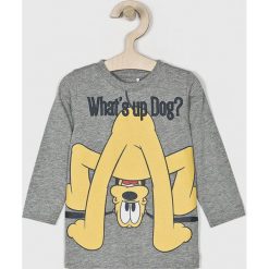 Name it - T-shirt dziecięcy 80-110 cm. Szare t-shirty chłopięce Name it, z nadrukiem, z bawełny, z długim rękawem. W wyprzedaży za 39,90 zł.