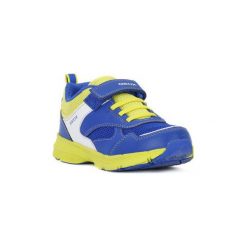 Buty Dziecko Geox 4344 J HOSHIKO BOY. Niebieskie trampki chłopięce marki Geox. Za 171,08 zł.