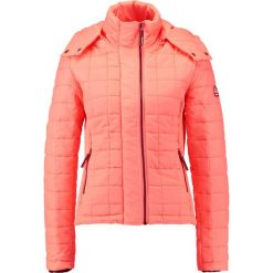 Bomberki damskie: Superdry HOODED BOX QUILT FUJI Kurtka przejściowa acid coral