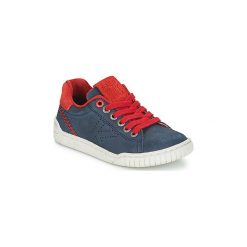 Buty Dziecko Kickers WINDER. Niebieskie trampki chłopięce Kickers, bez wzorów, bez zapięcia. Za 244,30 zł.