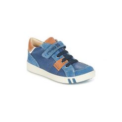 Buty Dziecko Primigi RAPAVETTE. Niebieskie trampki chłopięce marki Primigi. Za 247,20 zł.