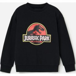 Bluza dresowa Jurassic Park -. Bluzy męskie Reserved, bez wzorów, z dresówki, bez kołnierzyka, bez rękawów, bez kaptura. Za 69,99 zł.