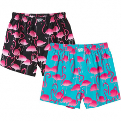 Lousy Livin - Bokserki (2-pack). Bokserki męskie Lousy Livin. W wyprzedaży za 79,90 zł.
