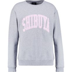 Bluzy męskie: Cayler & Sons OATH Bluza grey heather