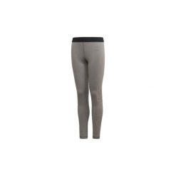 Legginsy dziewczęce: Legginsy i Rajstopy Dziecko adidas Legginsy treningowe Branded