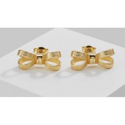 Kolczyki damskie: Ted Baker OLSI MINI OPULENT BOW Kolczyki goldcoloured