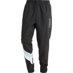 Spodnie dresowe męskie: Puma HERITAGE PANTS Spodnie treningowe black