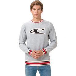 O'Neill Essentials Wave Bluza Szary. Szare bluzy męskie O'Neill, s, bez wzorów, z bawełny, bez kołnierzyka, bez rękawów, bez kaptura. Za 274,95 zł.