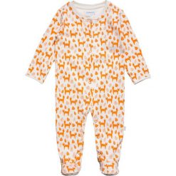Bielizna chłopięca: JoJo Maman Bébé FOX SLEEPSUIT BABY Piżama ecru