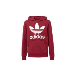 Bluzy chłopięce: Bluzy Dziecko adidas Bluza z kapturem Trefoil