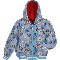 Kurtka zimowa "Paw Patrol" w kolorze szaro-niebieskim. Szare kurtki chłopięce na zimę, z nadrukiem, z polaru. W wyprzedaży za 75,95 zł.