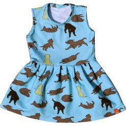 Sukienki dziewczęce: Sukienka Blue Dogs
