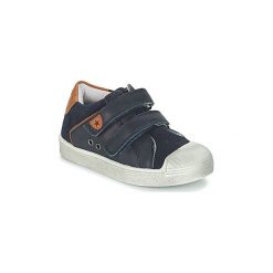 Buty Dziecko André TOBOGGAN. Niebieskie trampki chłopięce marki Andre. Za 119,40 zł.
