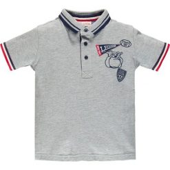 Brums - Polo dziecięce 110-122 cm. Szare t-shirty chłopięce Brums, z nadrukiem, z bawełny, z krótkim rękawem. W wyprzedaży za 99,90 zł.