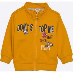 Blukids - Komplet dziecięcy 68-98 cm. Pomarańczowe spodnie chłopięce Blukids, bez wzorów, z bawełny, długie. W wyprzedaży za 29,90 zł.