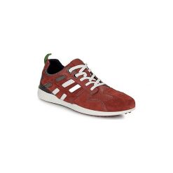 Buty Geox U SNAKE.2. Pomarańczowe trampki męskie Geox, bez wzorów, bez zapięcia. Za 489,00 zł.