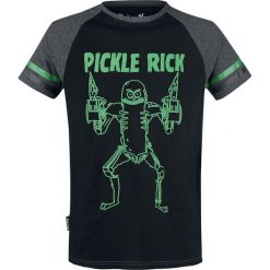 Rick And Morty Pickle Rick T-Shirt czarny/szary. Szare koszulki męskie marki Rick And Morty, l, w paski, z okrągłym kołnierzem. Za 42,90 zł.