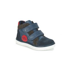 Buty Dziecko André JET. Niebieskie trampki chłopięce Andre. Za 259,00 zł.