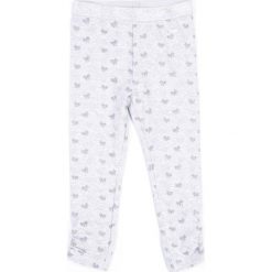 Legginsy dziewczęce: Coccodrillo – Legginsy dziecięce 92-122 cm