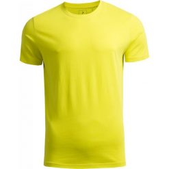 T-shirt męski TSM601 - limonka - Outhorn. Koszulki męskie Outhorn, m, bez wzorów, bez kołnierzyka, bez rękawów. W wyprzedaży za 24,99 zł.