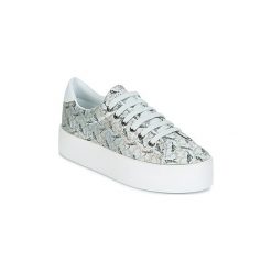 Buty No Name PLATO SNEAKER. Szare trampki i tenisówki damskie No Name, bez wzorów, bez zapięcia. Za 311,20 zł.