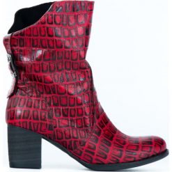 Botki - skóra naturalna - model 497 - kolor czarno-czerwony krokodyl. Czerwone botki damskie Zapato, na zimę, z jeansu, klasyczne, za kostkę, bez obcasa, na obcasie, na klamry. Za 399,00 zł.