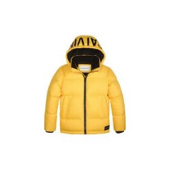 Kurtki pikowane Dziecko Calvin Klein Jeans IB0IB00249 ESSENTIAL PUFFER. Żółte kurtki chłopięce Calvin Klein Jeans, bez wzorów, z jeansu, bez kaptura. Za 553,53 zł.