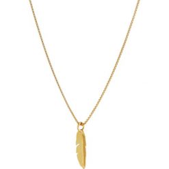Naszyjniki damskie: MALAIKARAISS NECKLACE FEATHER Naszyjnik goldcoloured
