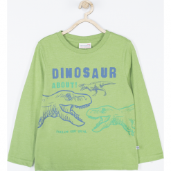 Koszulka. Zielone t-shirty chłopięce z długim rękawem DINOSAUR, z aplikacjami, z bawełny. Za 45,90 zł.