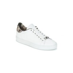 Trampki męskie: Buty Roberto Cavalli 2073A