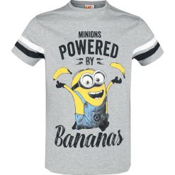 Minions Powered by Bananas T-Shirt odcienie szarego. Szare t-shirty męskie marki Minions, m, z nadrukiem, z okrągłym kołnierzem. Za 42,90 zł.