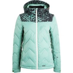 Kurtki sportowe damskie: Brunotti SIRIUS Kurtka snowboardowa leafy green