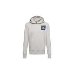 Bluzy męskie: Bluzy adidas Bluza z kapturem Essentials Logo Hoodie