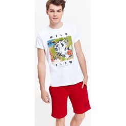 T-shirty męskie z nadrukiem: T-SHIRT MĘSKI Z NADRUKIEM
