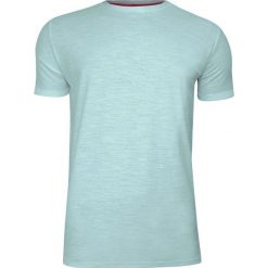 Miętowy Melanżowy Bawełniany T-Shirt Męski Bez Nadruku -Brave Soul- Koszulka, Krótki Rękaw, Basic TSBRSSS20REPLAYpalegreen. Żółte koszulki męskie Brave Soul, na lato, m, z nadrukiem, z bawełny, casualowe, bez kołnierzyka, krótkie. Za 29,00 zł.