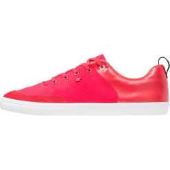 Trampki męskie: Boxfresh CASTEL Tenisówki i Trampki red