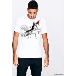 Hierodula Mantis t-shirt man. T-shirty męskie Pakamera, m, bez wzorów, z wiskozy, klasyczne, z klasycznym kołnierzykiem. Za 129,00 zł.
