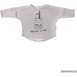 Bluzy dziewczęce: Bluza Addicted to Milk – szary