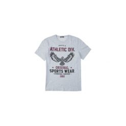 T-shirt krótki rękaw męski z printem. Szare t-shirty męskie TXM, m. Za 9,99 zł.
