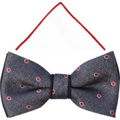 Grafitowa mucha w czerwone kropki A350. Szare muszki męskie Adam Collection - Krawaty i dodatki, na co dzień, bez wzorów, z poliesteru, eleganckie. W wyprzedaży za 49,50 zł.