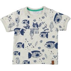 Dirkje Koszulka Chłopięca 80 Szaro-Niebieska. Szare t-shirty chłopięce Dirkje, bez wzorów, bez rękawów. Za 42,00 zł.