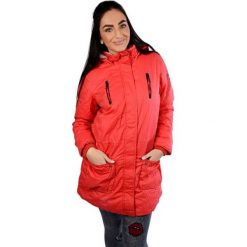 Cars-Jeans Kobiety Red Red Jacket brzuszek 4866460 (rozmiar S). Czerwone kurtki damskie Cars Jeans, s, bez wzorów, z jeansu. W wyprzedaży za 191,00 zł.