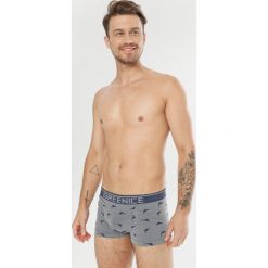 Szaro-Granatowe Bokserki Shemare. Szare bokserki męskie Born2be, bez wzorów. Za 19,99 zł.