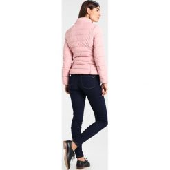 Kurtki damskie: Springfield GYM PLUMAS ENTALLADO Kurtka zimowa pinks