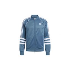 Bluzy męskie: Bluzy dresowe adidas Bluza dresowa Authentics