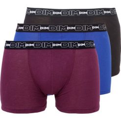 DIM 3 PACK Panty violet intense/bleu atlantique/noir. Fioletowe bokserki męskie marki DIM, z elastanu. Za 129,00 zł.