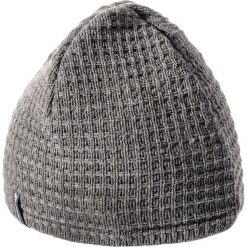 Czapki męskie: Meteor Czapka zimowa Eiger Szara (50631)