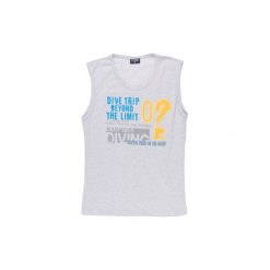T-shirty męskie z nadrukiem: t-shirt bez rękawów męski z nadrukiem